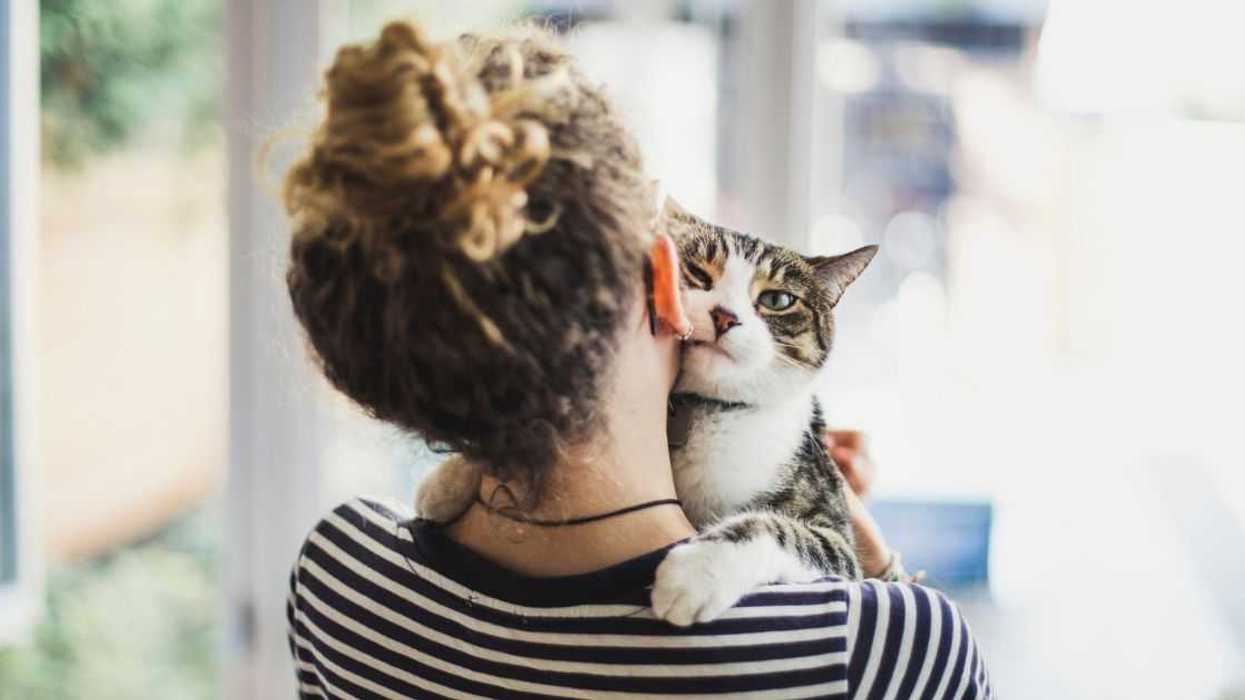 A cat looks into the camera while it's being held by a woman