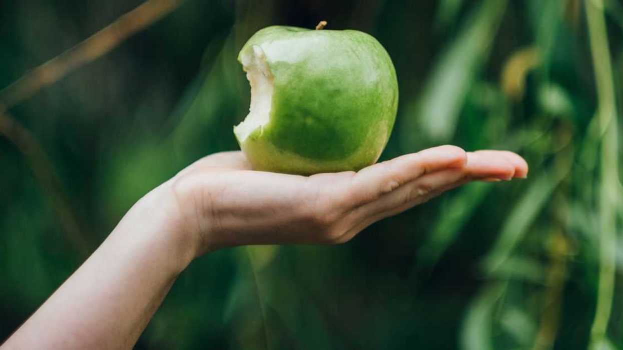 A green apple bitten, sitting on an open hand