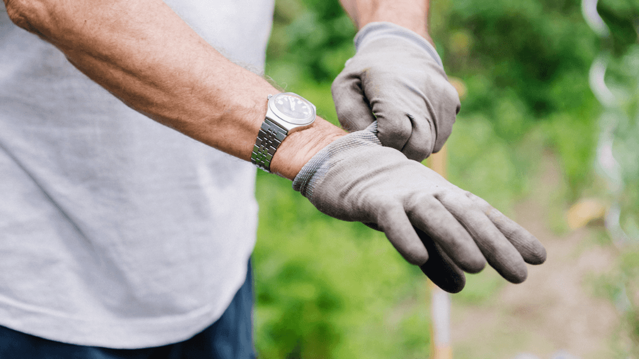 A man putting on gardening gloves.