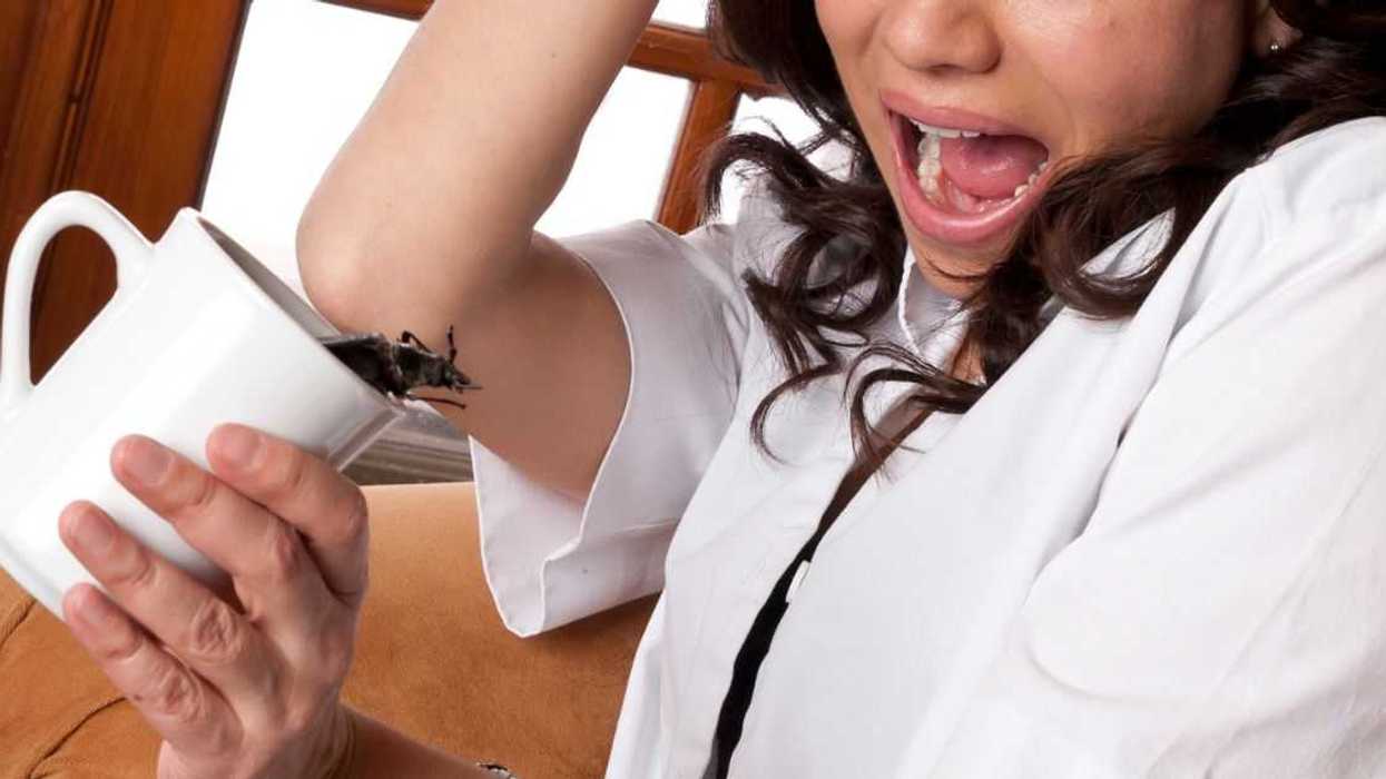 A woman screams at a bug in her coffee mug.