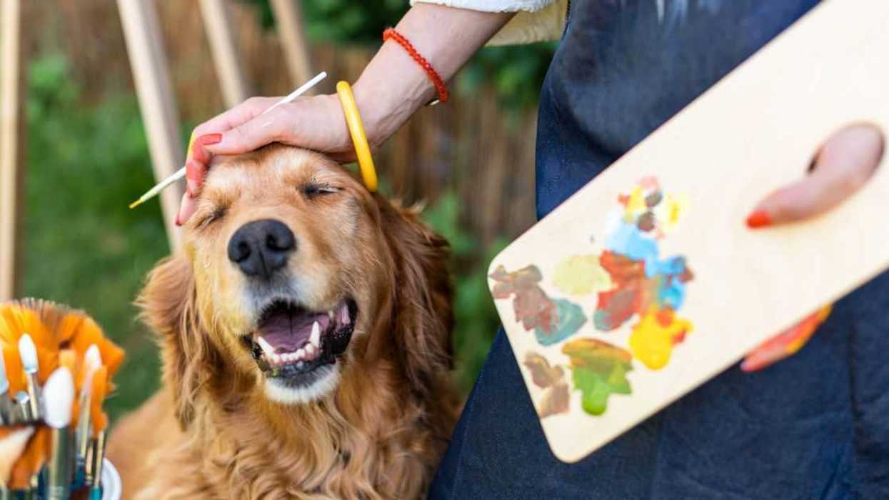 A young female artist works on her art canvas painting outdoors in her garden with golden retriever keeping her company.