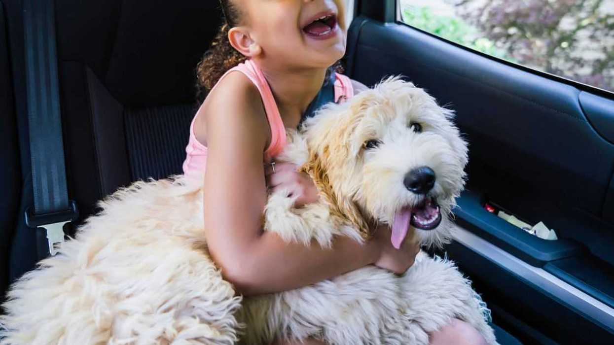 A young girl holds a dog in the backseat of a car