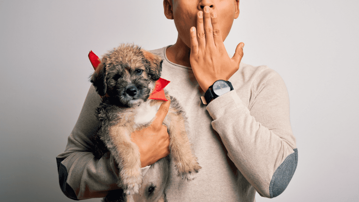 Redditor Stunned When Sister's Boyfriend Is Offended To Learn He Shares A Name With Their Dog