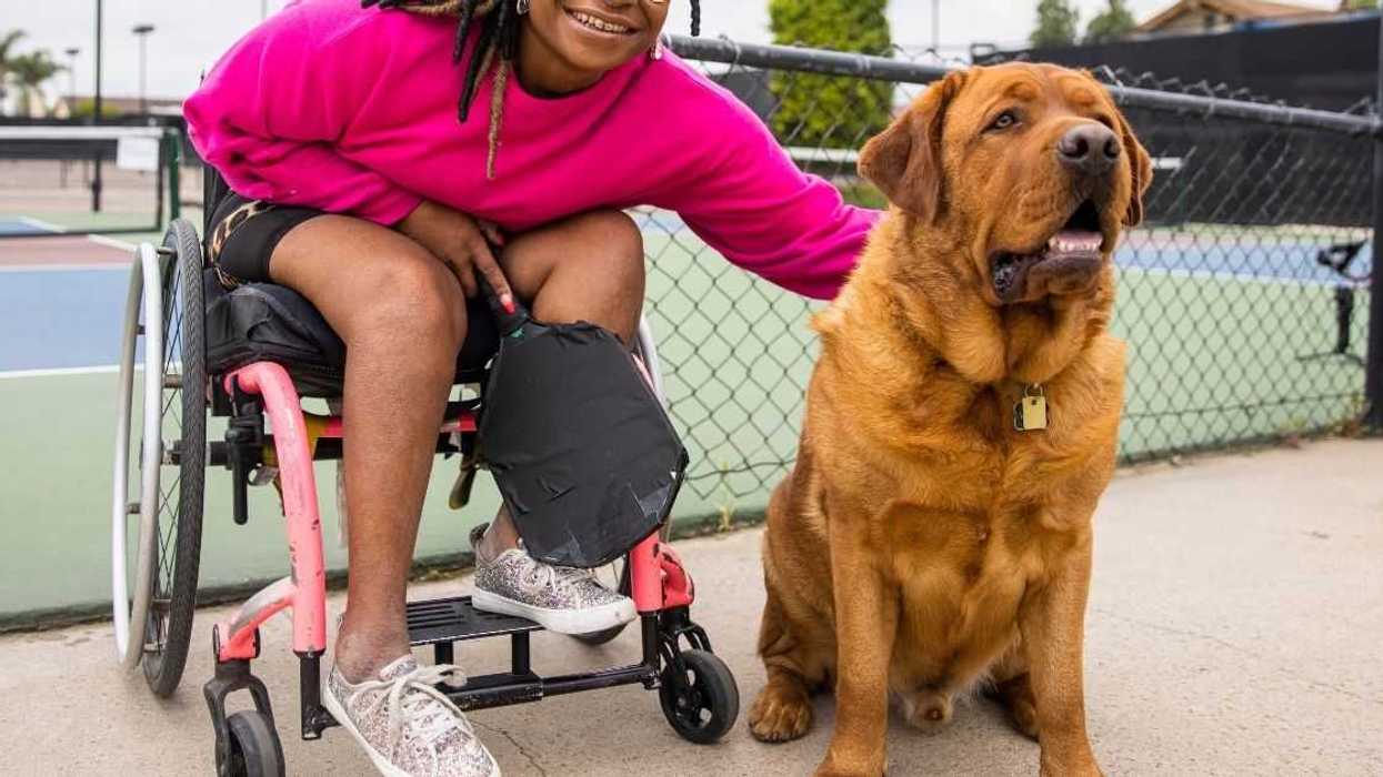 Disabled Woman Outraged After Her Sister Bans Her From Bringing A Service Dog Into Her House