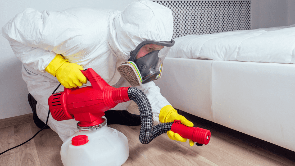 An exterminator treating under a bed.