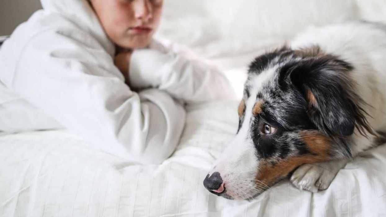 Woman Refuses To Let Neighborhood Boy Near Her Dog After Overhearing His Plans To Steal It
