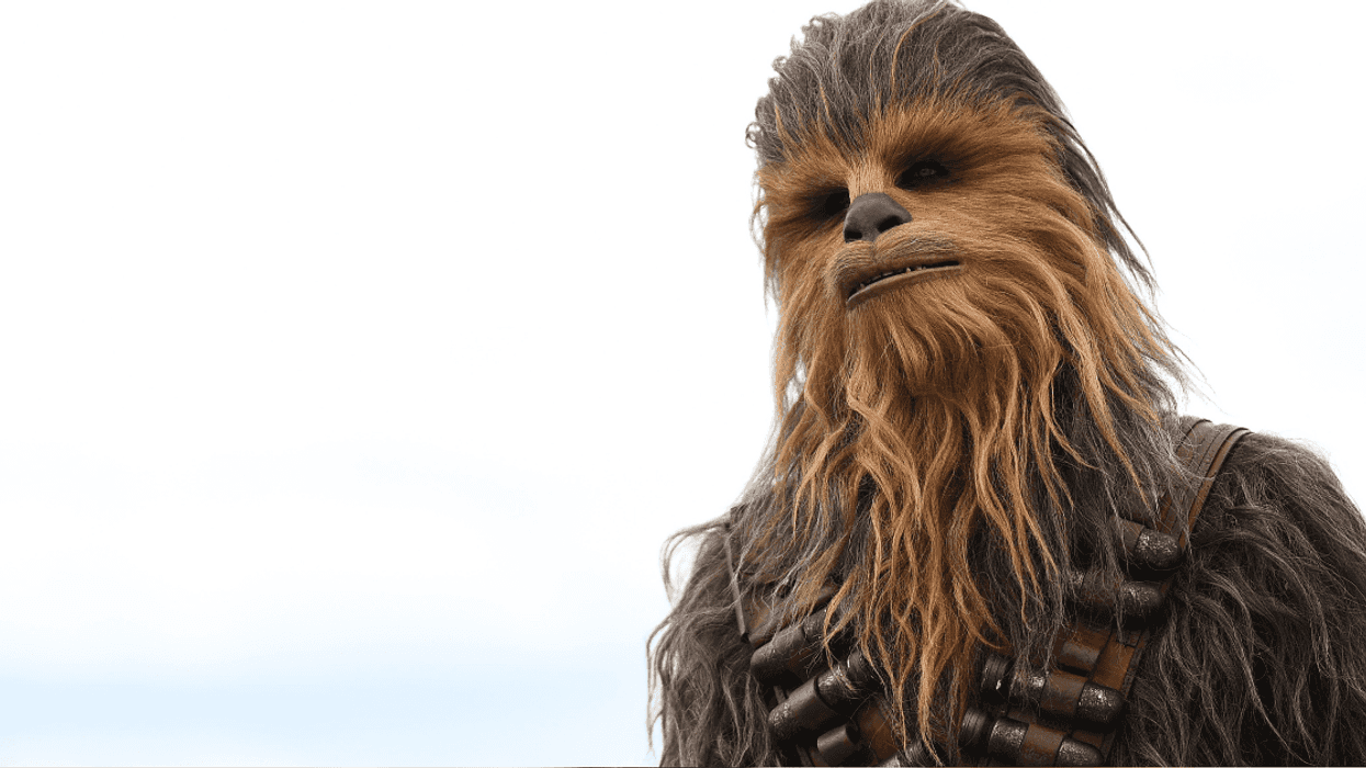 'Star Wars' Fans Livid After One Of The MAGA Rioters Gets Nicknamed 'Chewbacca' For His Outfit
