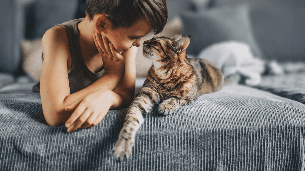 boy with cat on bed