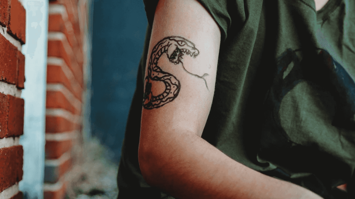 Guy Balks When His Phobia-Ridden Sister Demands His Boyfriend Cover Up His Snake Tattoo