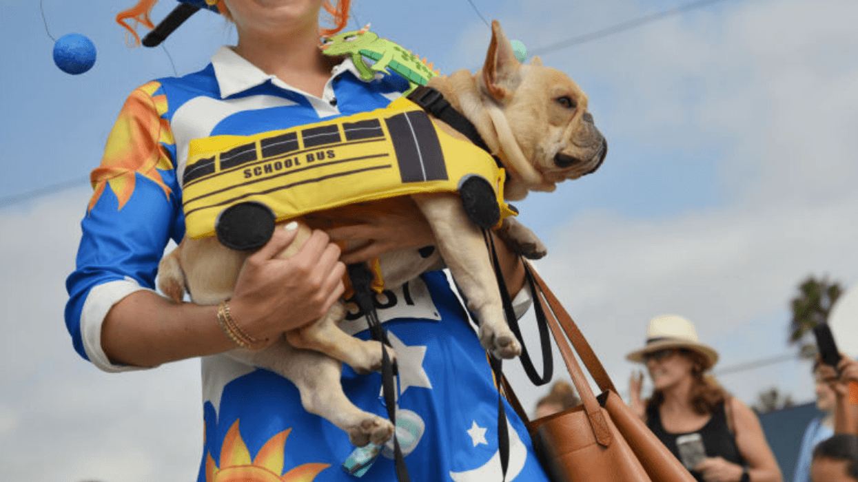 Guy Embarrassed That His Preschool Teacher Girlfriend Dresses Like Ms. Frizzle From 'The Magic School Bus'