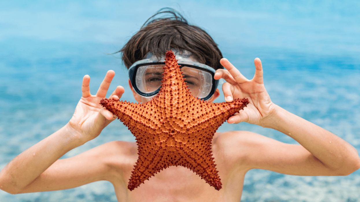 child underwater holding up starfish