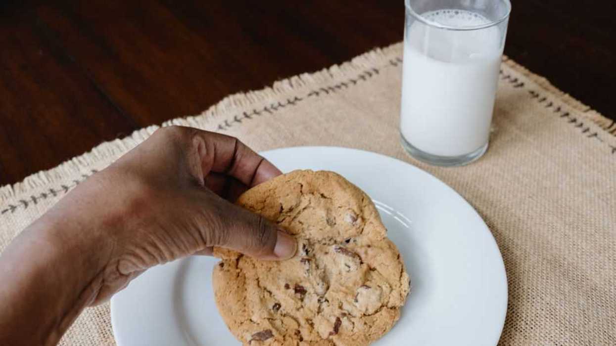 Close-up of an unrecognizable person eating a chocolate a chip cookie with glass of milk.