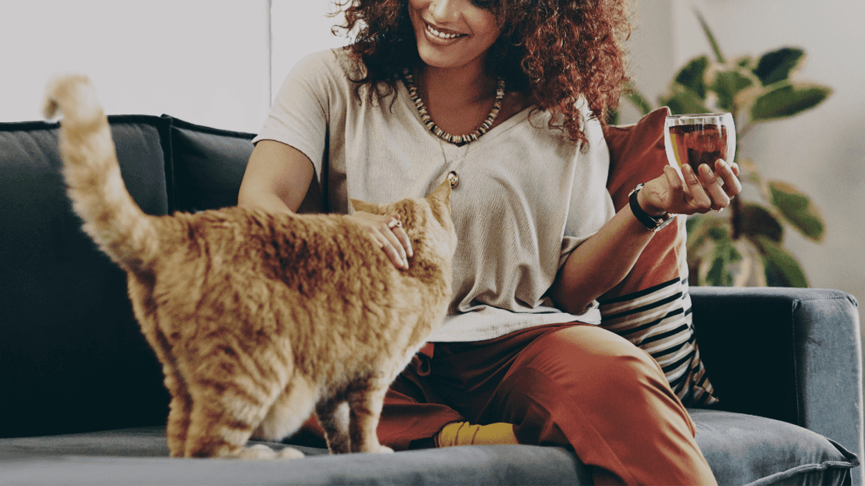 Woman's Coworker Accuses Her Of 'Disrespecting Real Moms' By Giving Her Cats Middle Names