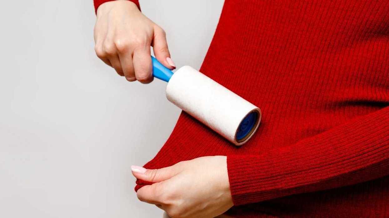 Boss Called 'Oppressive' For Asking Employee To Use A Lint Roller Before Meeting