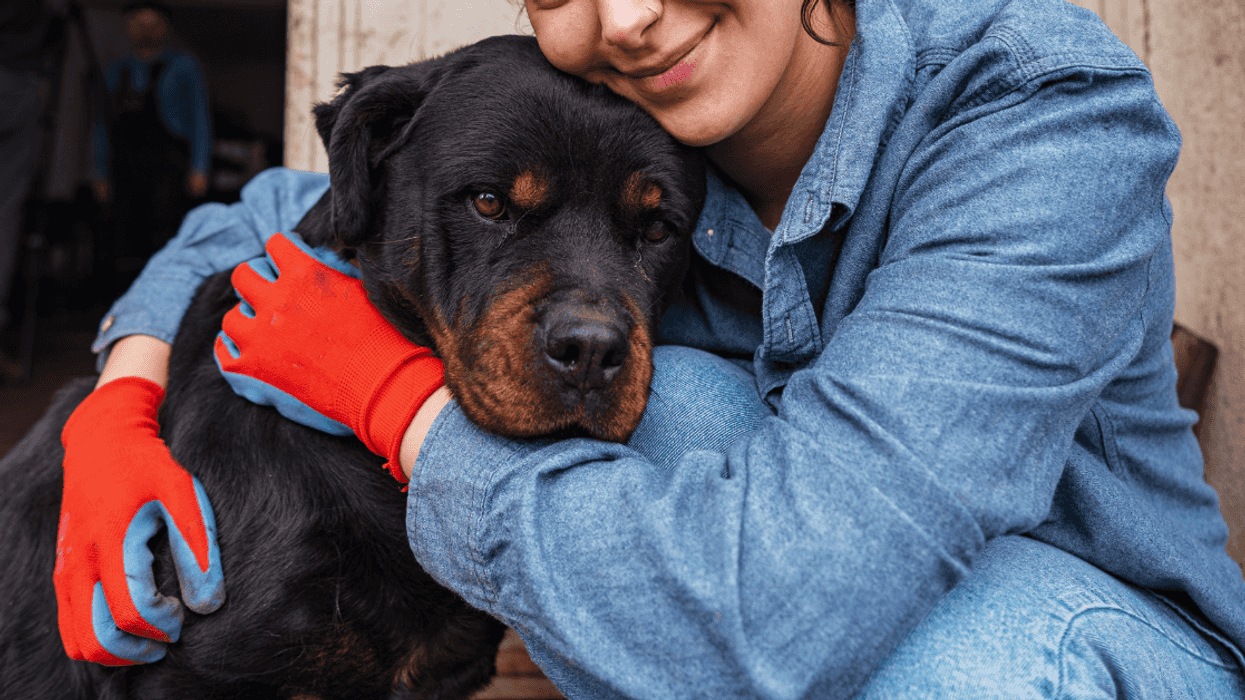 Woman With Severe Allergies Threatens To Kick Roommate Out If She Gets A Service Dog