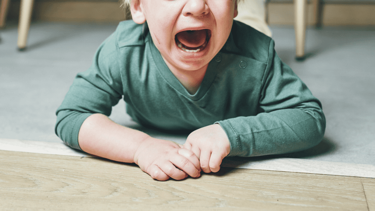 Parent Called Out For Sparking Nephew's Hours-Long Tantrum By Not Letting Him Keep Son's Toy