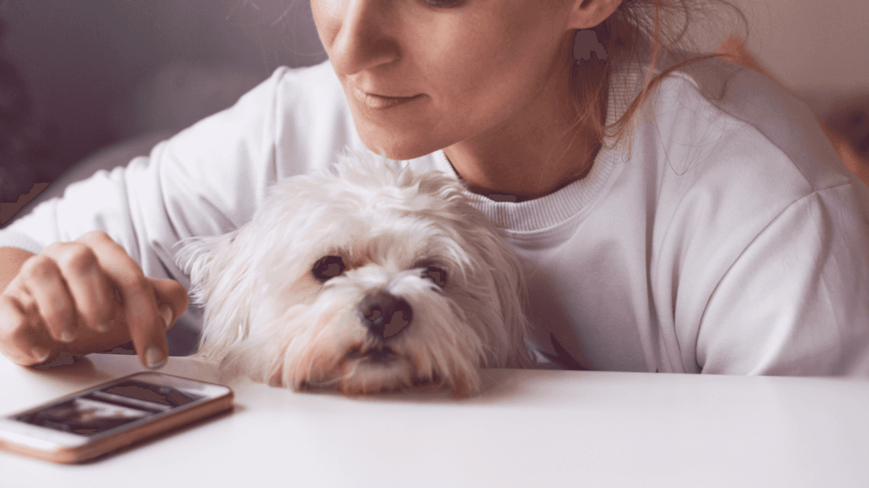 Mom Who Dislikes Dogs Balks After Therapist Recommends Emotional Support Dog For Daughter