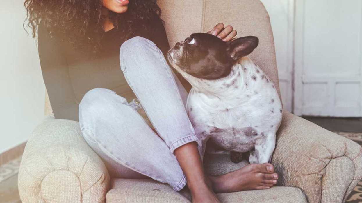 Guy Stunned After His Girlfriend Tells Him She'd Choose Her Dog Over Him 'Any Day'