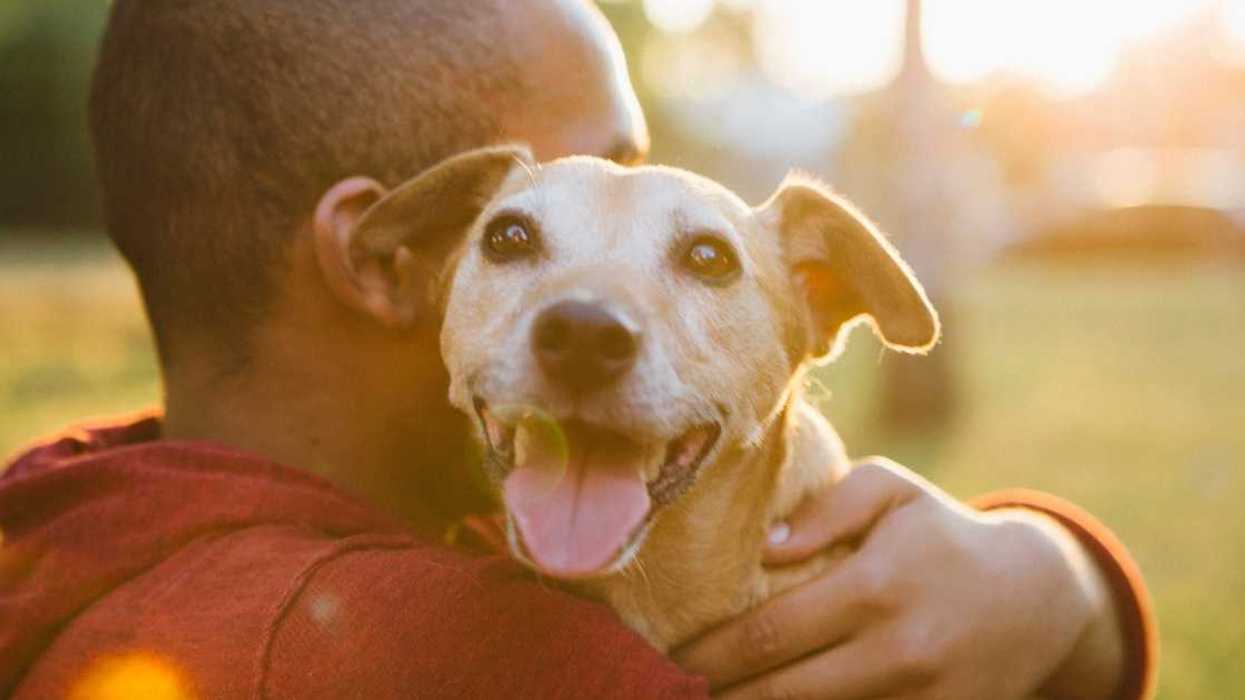Teen Upsets His Dad By Refusing To Live With Him Until He Respects His Severe Dog Allergies