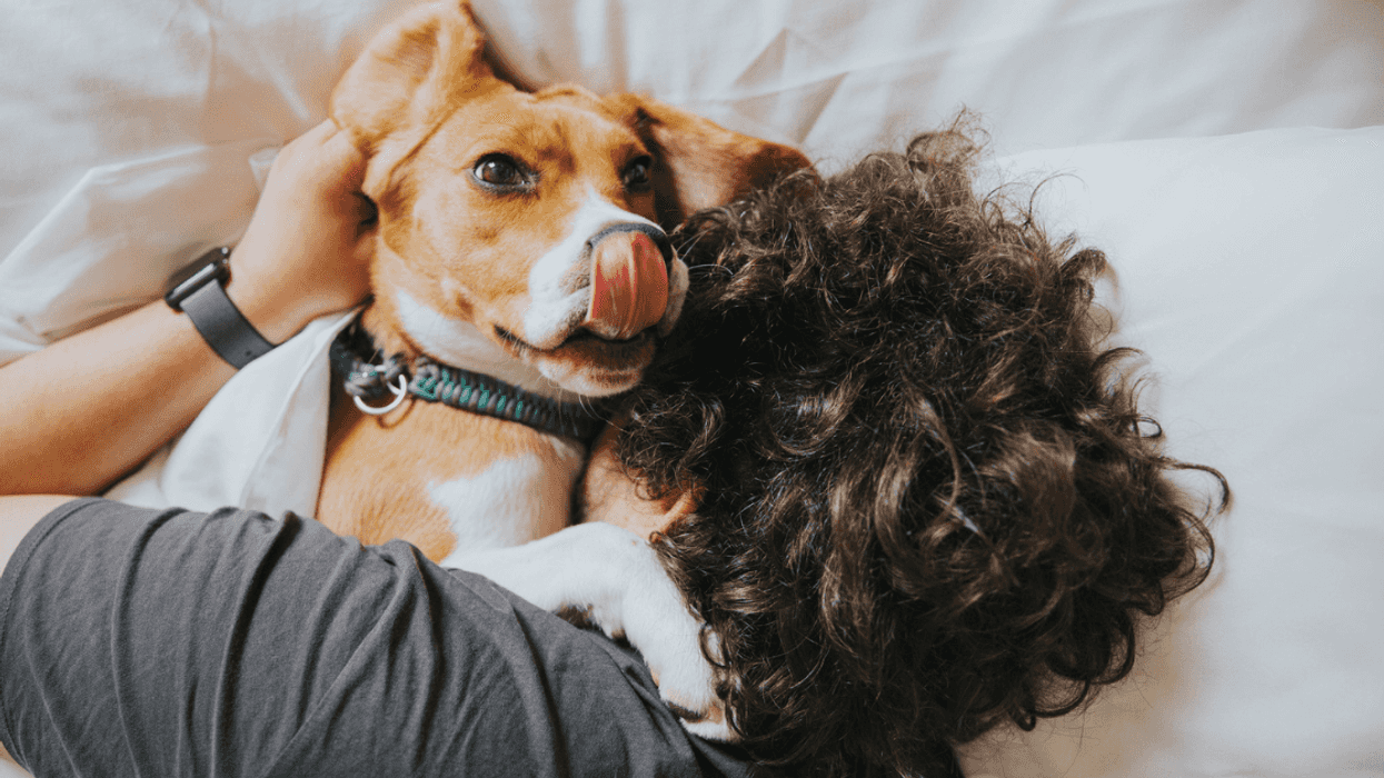 Guy Refuses To Rehome His New Dog Even Though The Costs Are Putting Him And Partner In Debt