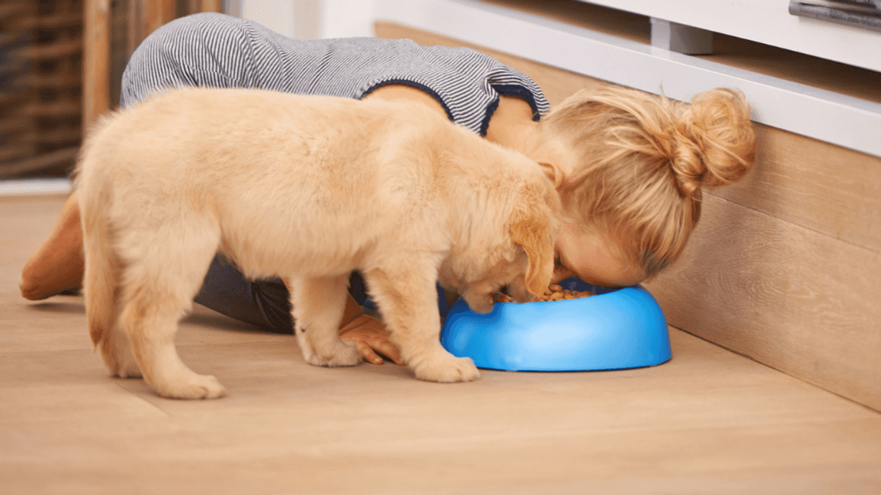 Girl eating dogfood from a bowl with a dog.