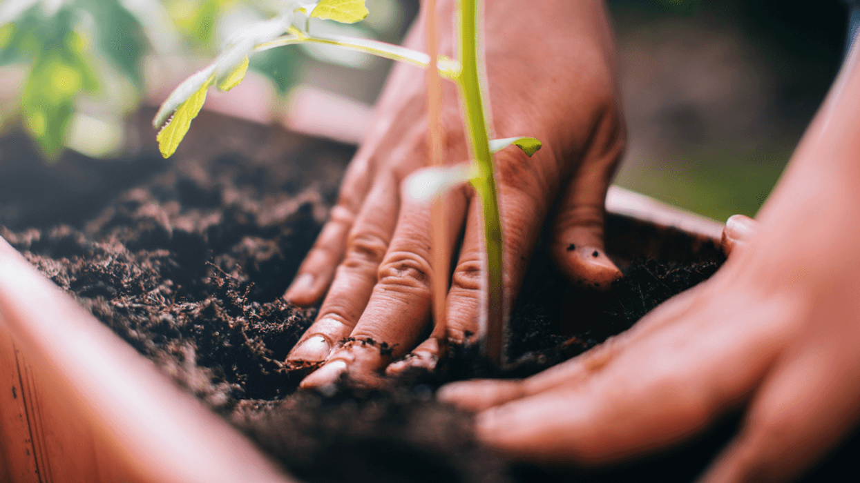 Couple 'Shunned' By Neighborhood Because Their New House Blocks Light Into Neighbor's Garden
