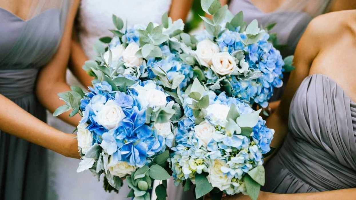 High angle view of bride and bridesmaids holding blue and white flower bouquets.