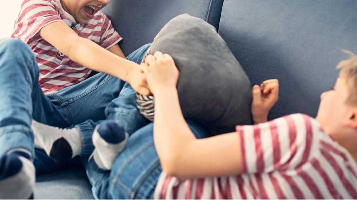 Guy Accused Of 'Parent-Shaming' After Refusing To Hang Out With Brother Due To His 'Poorly-Behaved' Kids