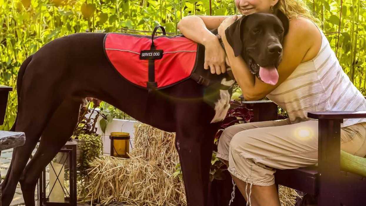 Woman Stirs Drama After Calling Out What She Believes Is A Fake Service Dog At Grocery Store