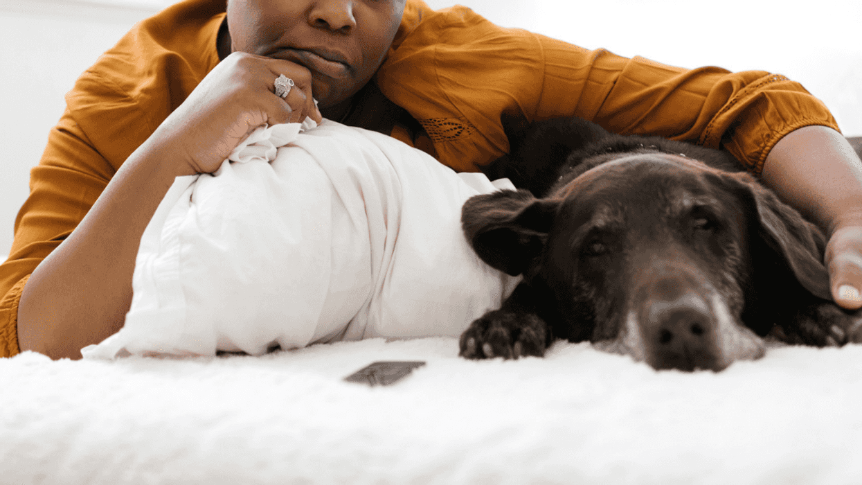 Woman Called A 'Terrible Person' For Selling The Dog She Shared With Her Partner After He Died