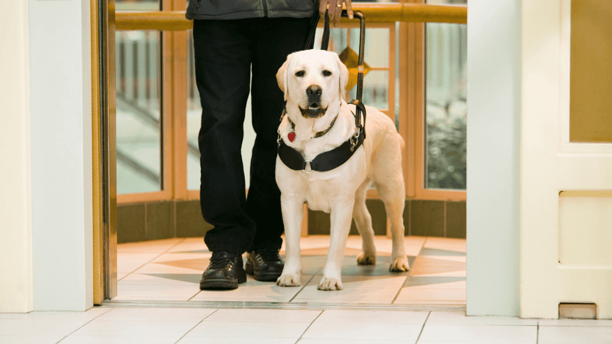 Dog Owner Called Out For Refusing To Take Next Elevator Despite Neighbor's 'Hysterical' Fears