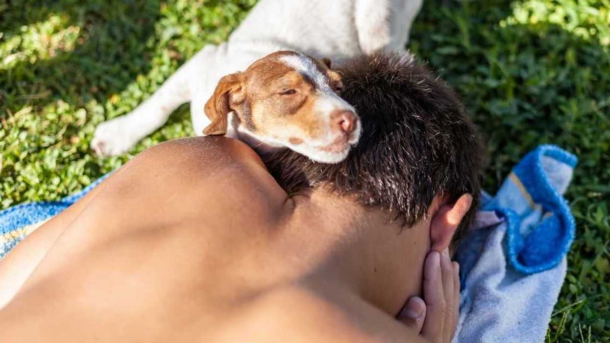 Teen Struggles With His Emotions After His Parents Accidentally Kill The Family Dog