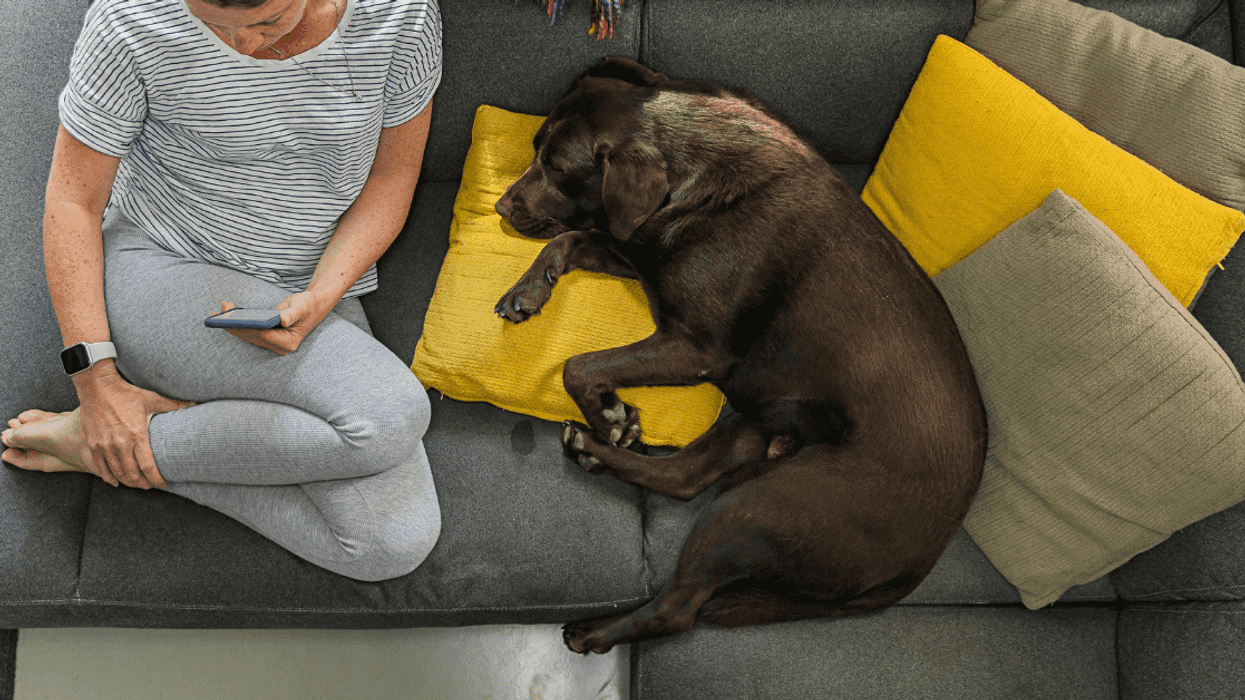 Parents Livid After Neighbor Demands They Keep Kids Inside Any Time Her Untrained Dog Is Out