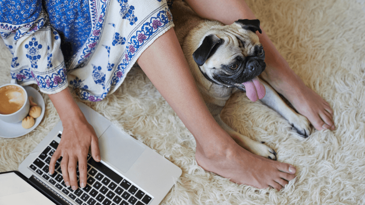 Woman Sparks Drama By Refusing To Give Her Cousin's Dog Back After Dogsitting It For Months