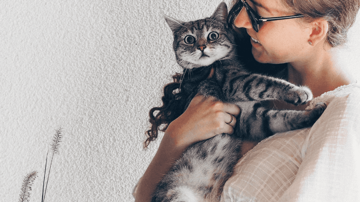 College Student Stunned When Stranger Asks To Buy Her Cat Because It 'Deserves More Space'
