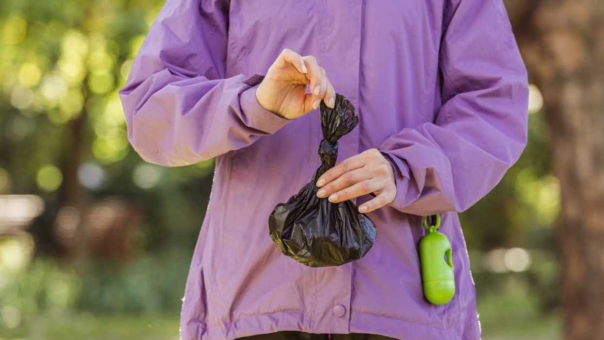 Woman Sparks Drama By Getting Revenge On Her Neighbors Who Let Their Dogs Poop In Her Yard