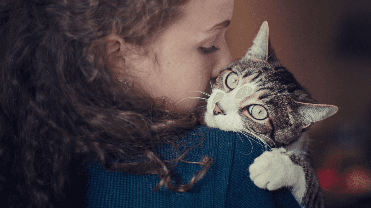 Teen Runs Away From Home With Cat After Catching Her Stepdad Sneaking Out To Euthanize It