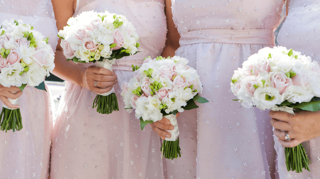 Lined up bridesmaids