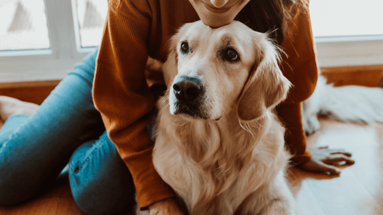 Guy Irate After Girlfriend Plans To Move Into Her Own Apartment Because He Doesn't Want A Dog