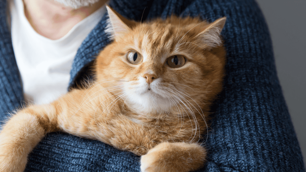 Man holding cat