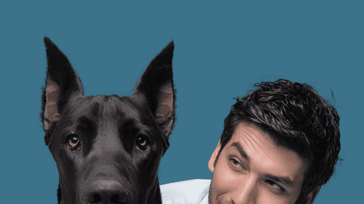 Man sitting with his Great Dane