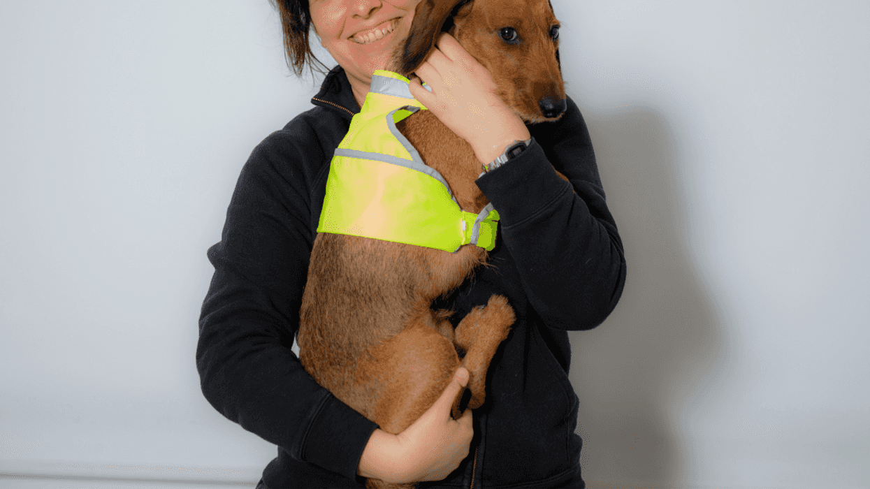 Redditor Balks After Woman With Service Dog Slams Them For Bringing Non-Service Dog Into Store