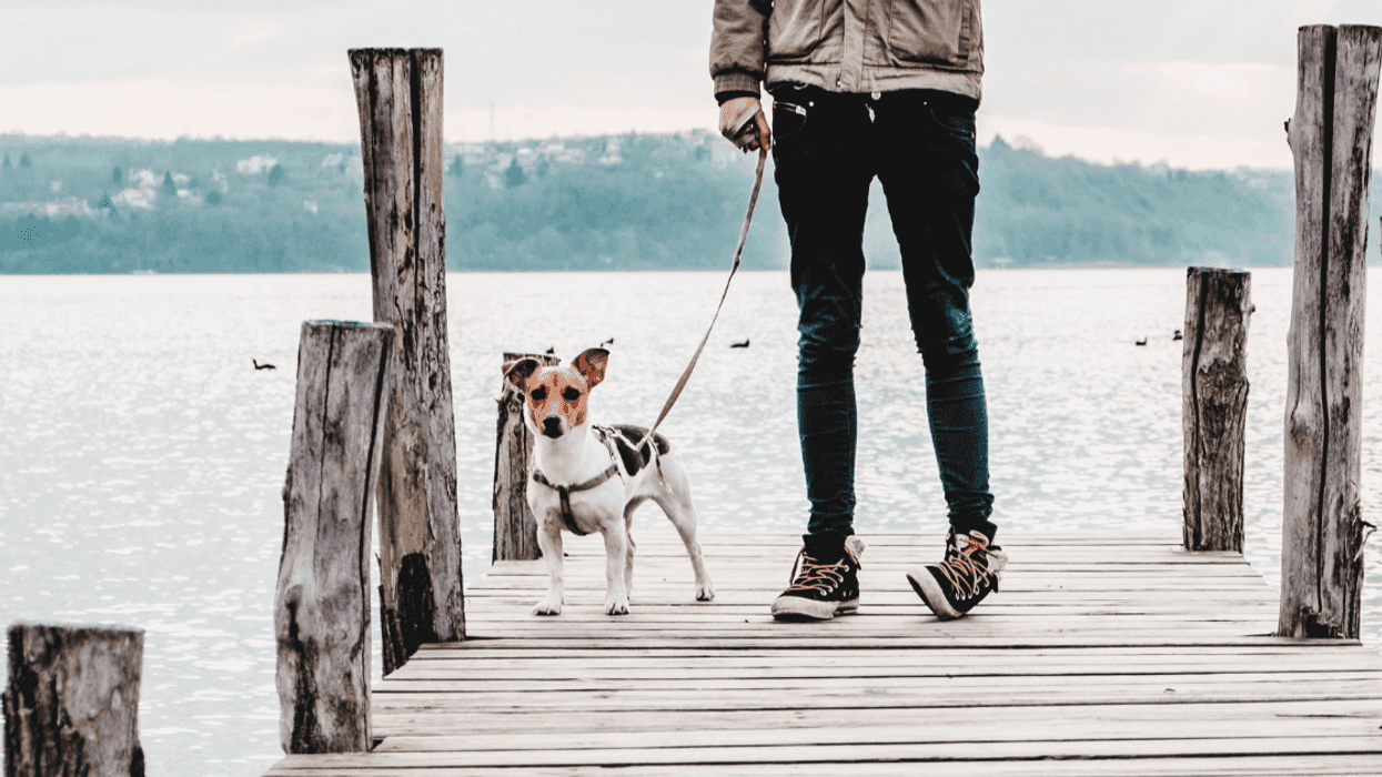 Teen Called Out For Refusing To Care For Her Disabled Younger Brother's Service Dog Full-Time