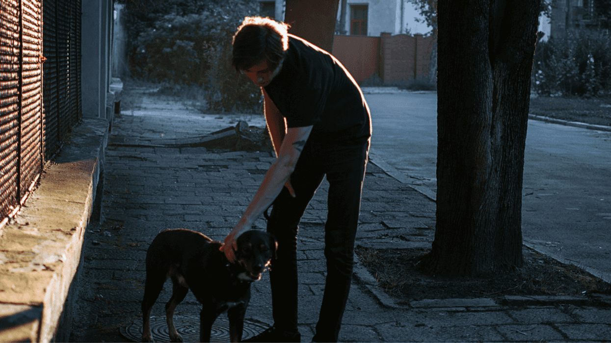 Guy Fires His Brother As His Dog Walker After His Lies Led To An Expensive Vet Bill