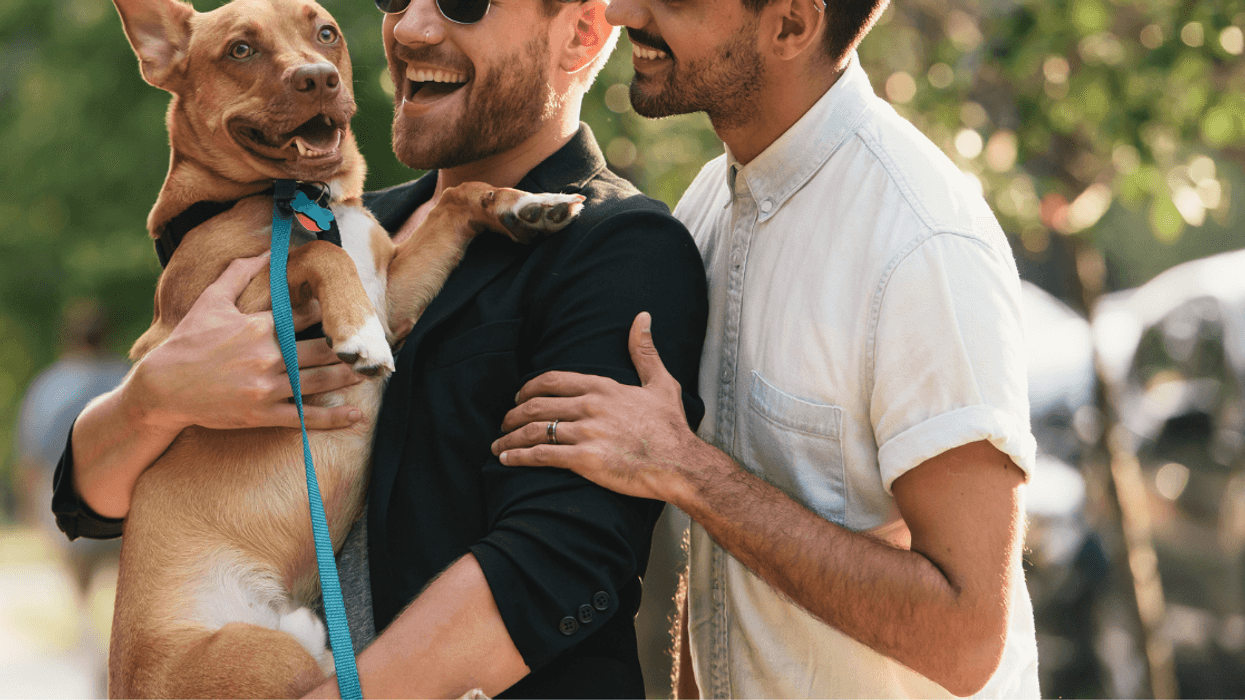 Guy Stunned After His Brother Berates Him And His Boyfriend For Calling Themselves 'Dog Dads'