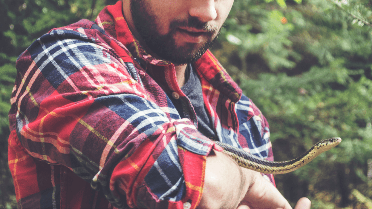 Guy Livid After Fiancée Sets His Pet Snake Loose Because He Was Giving It 'Too Much Attention'