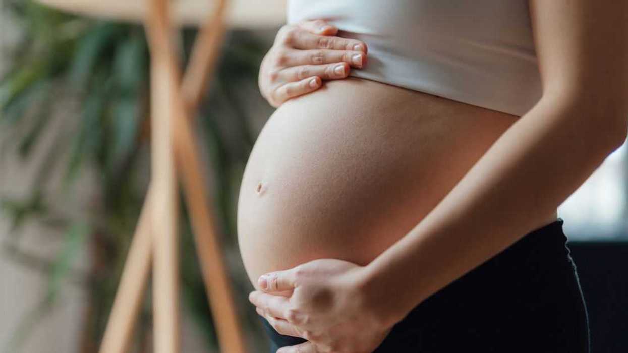 Midsection of a Pregnant Woman Holding Her Belly