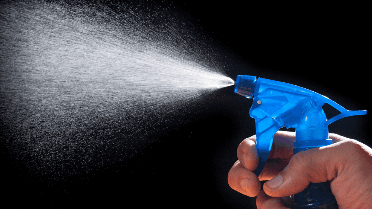 Sibling Mists Their Sister With Spray Bottle After Being Wrongfully Accused Of Eating Her Steak