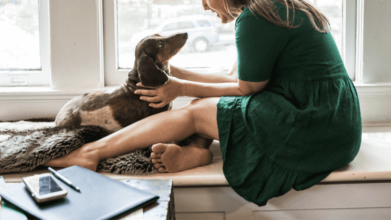 Woman Accused Of 'Ruining' Sister's Big Job News By Introducing The Family To Her New Dog