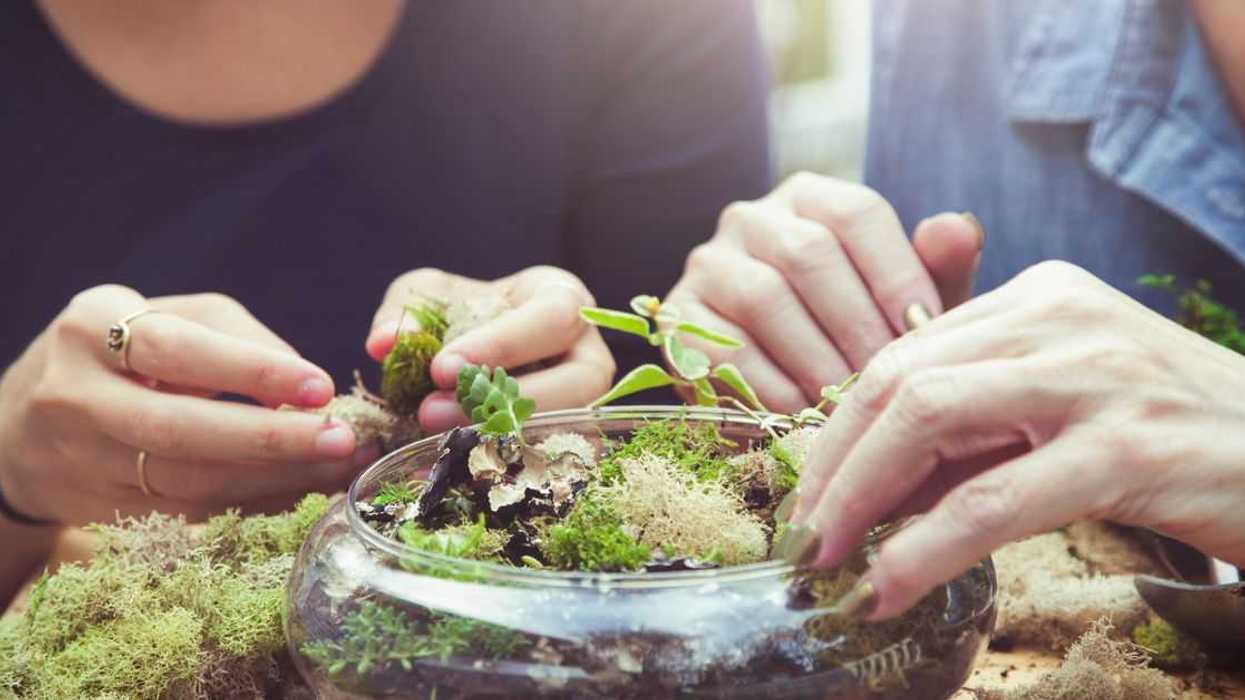 Mother and daughter arranging terrarium